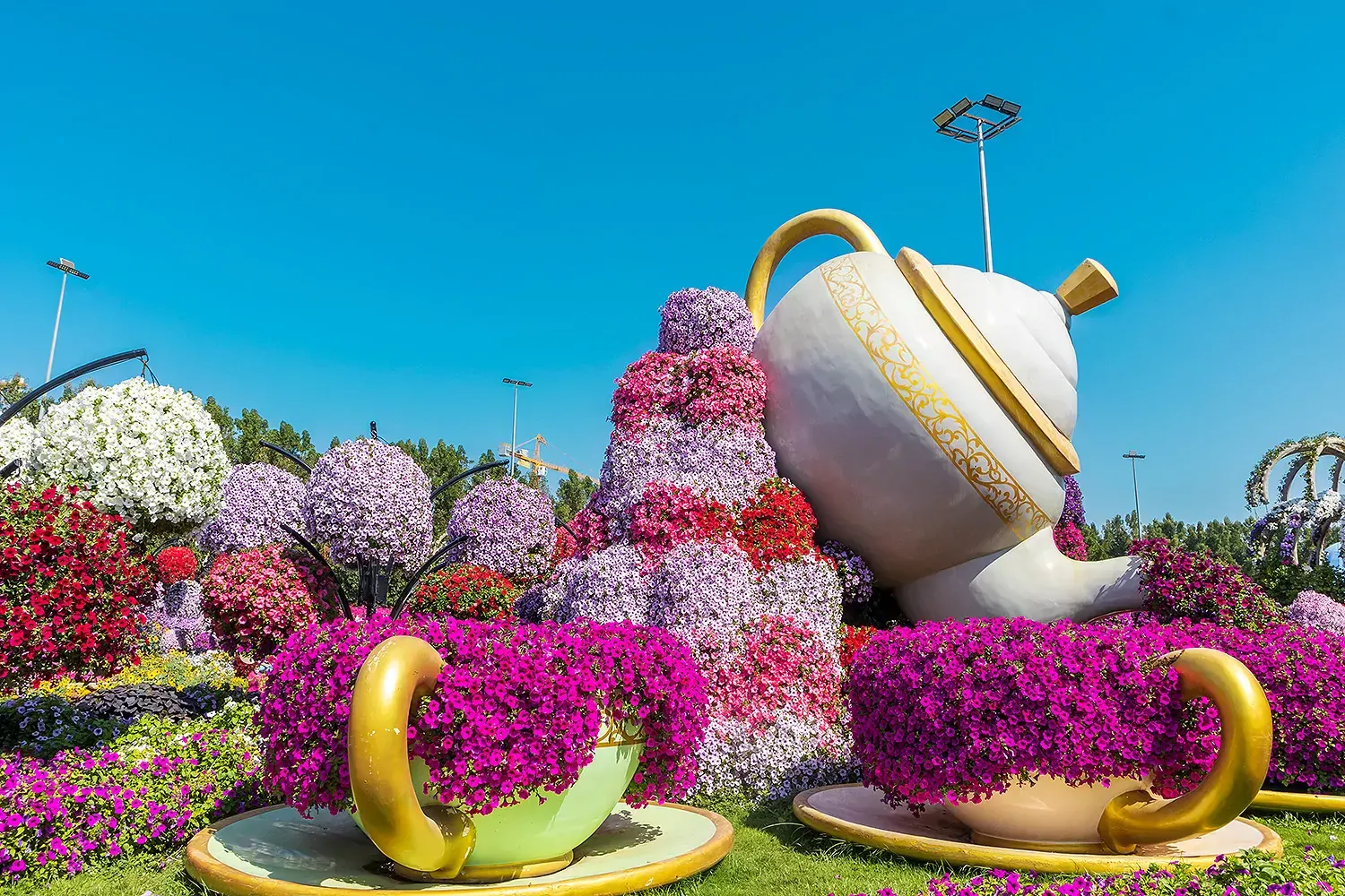 Miracle Garden Dubai