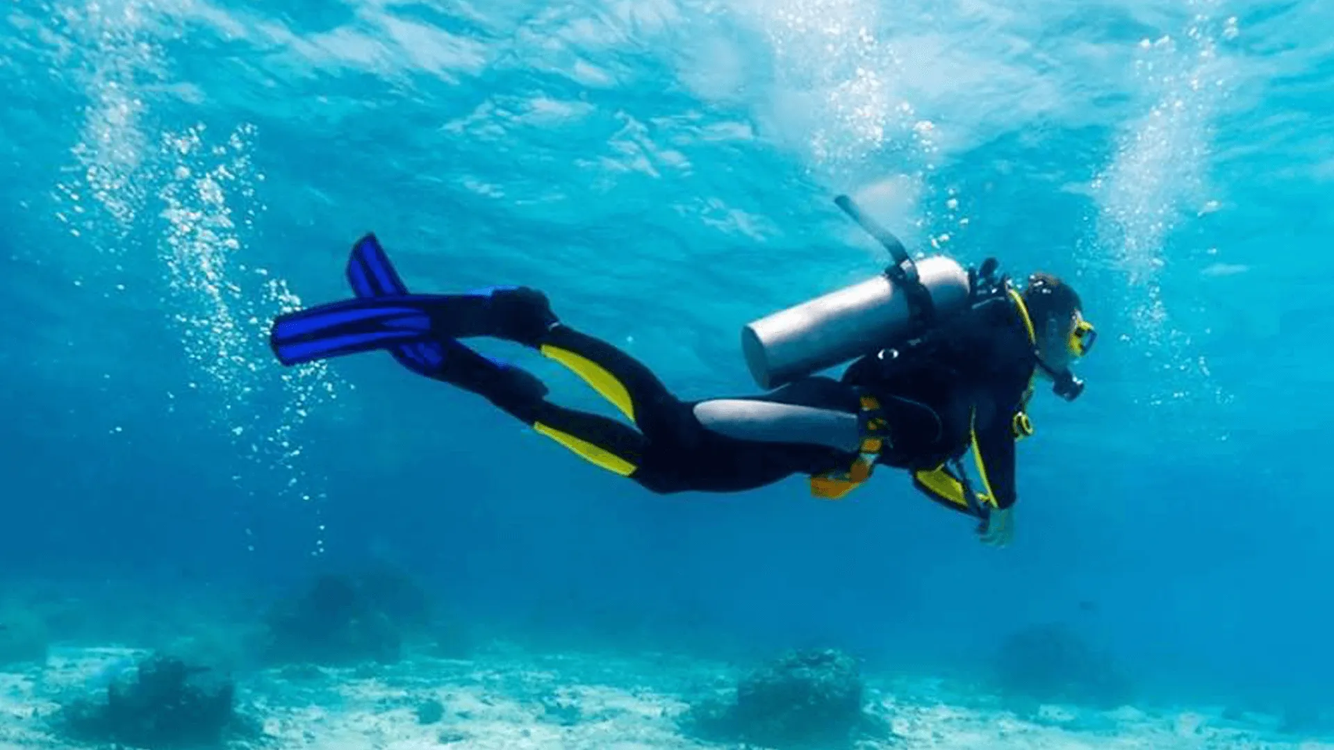Scuba Diving Adventure Dubai