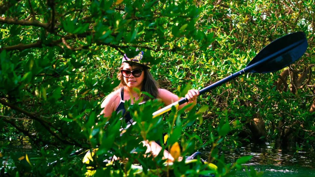 Al Qahma Mangroves Kayaking Tour