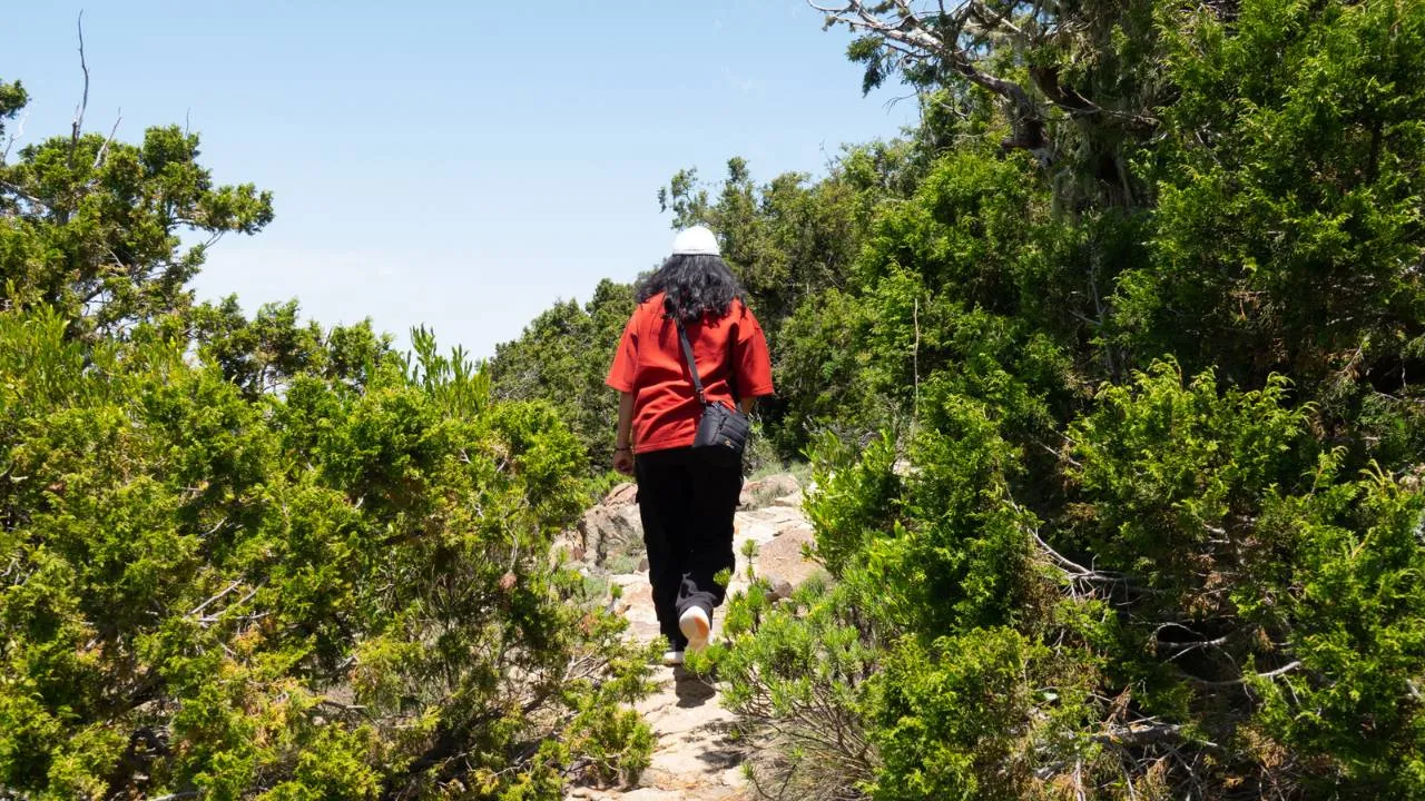 Al-Soudah Mountain Sightseeing Tour