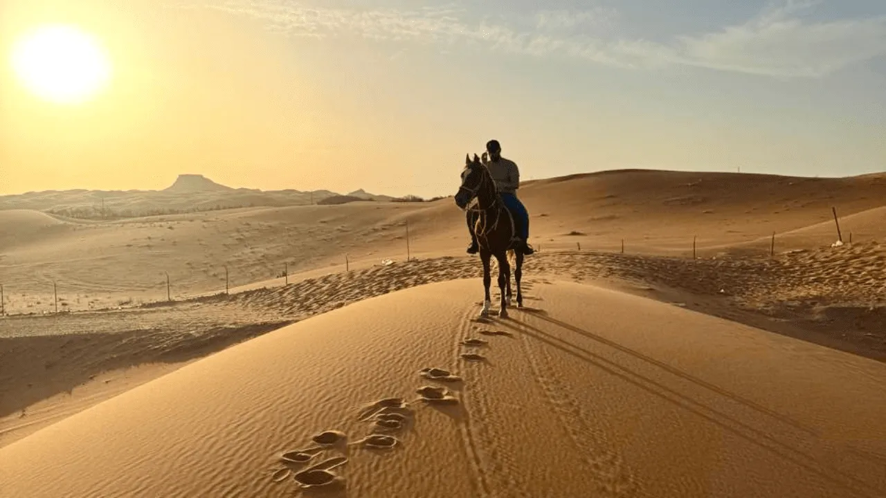 Beginner Horse Riding + Photography Experience in Riyadh