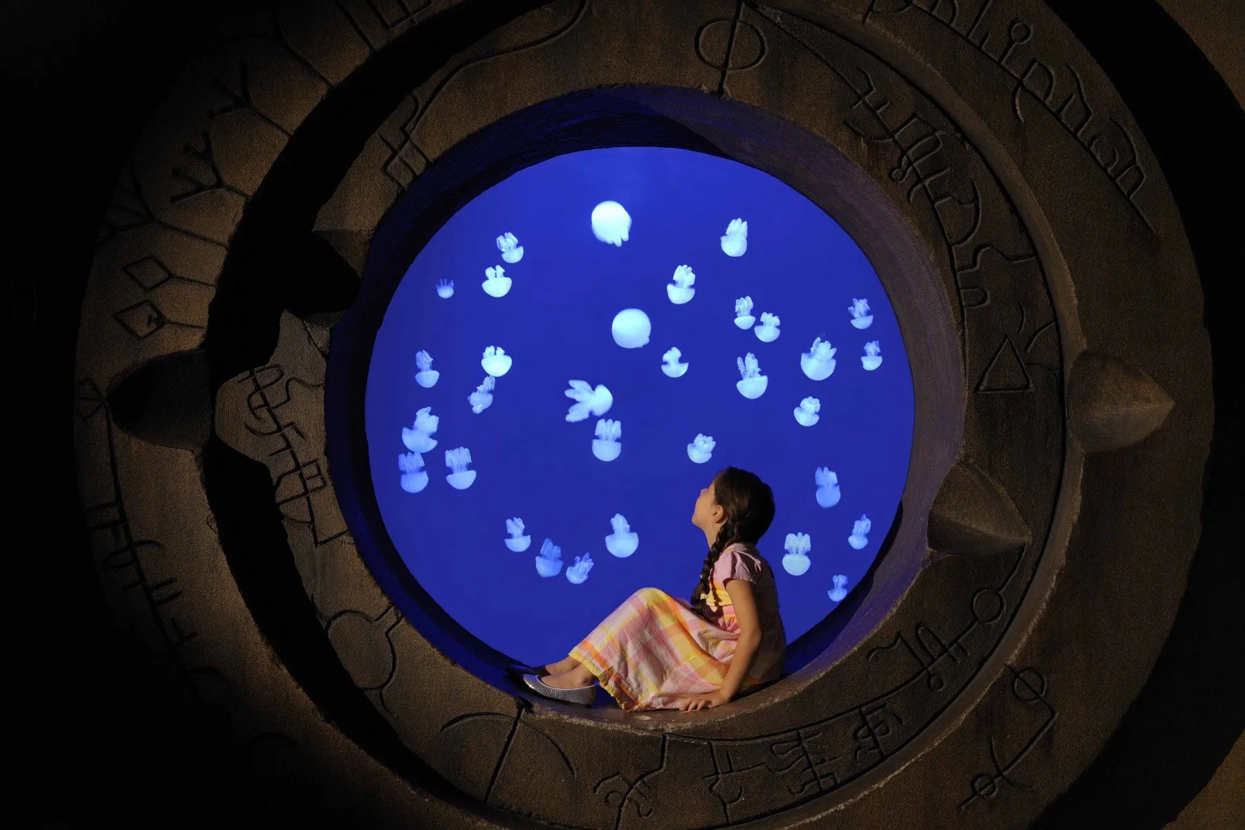 The Lost Chambers Aquarium Tickets
