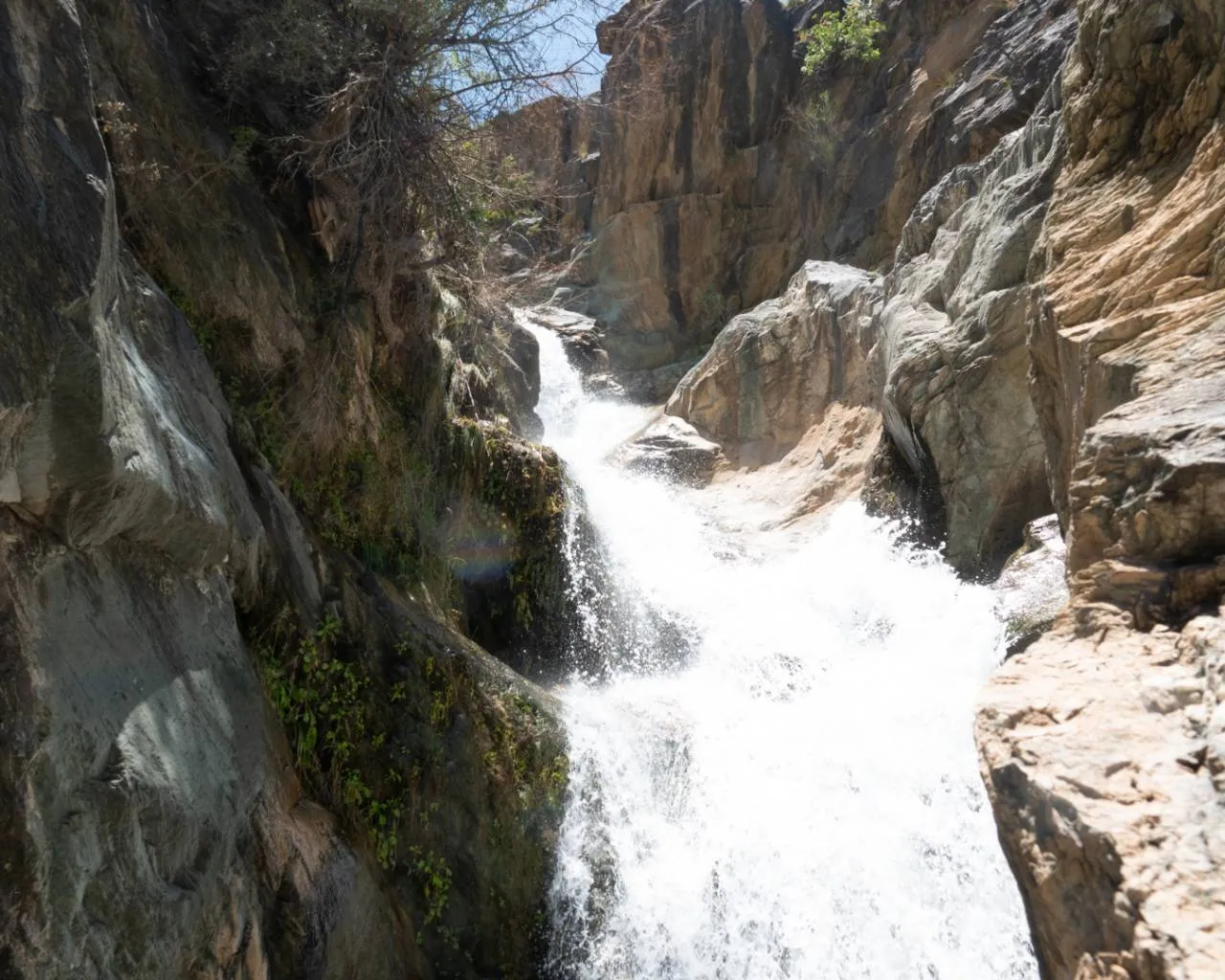 In Quest of the Waterfall Hike