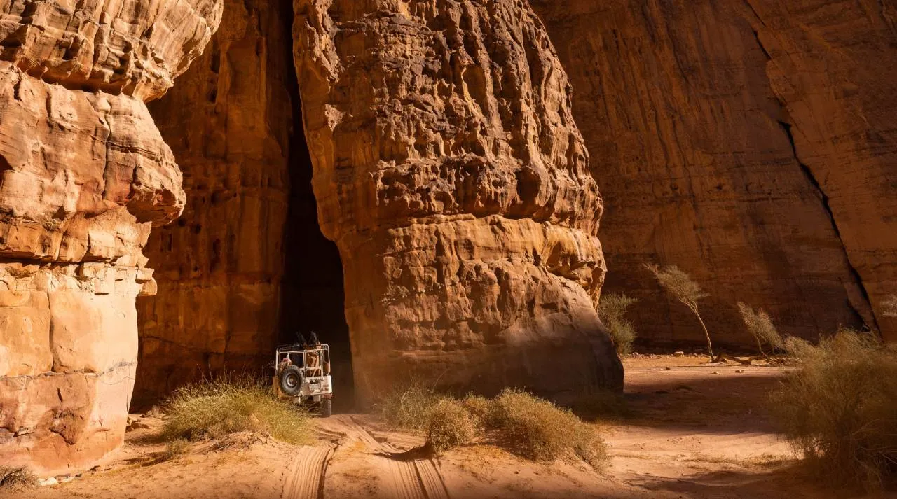 Sharaan Reserve Safari by Masarat