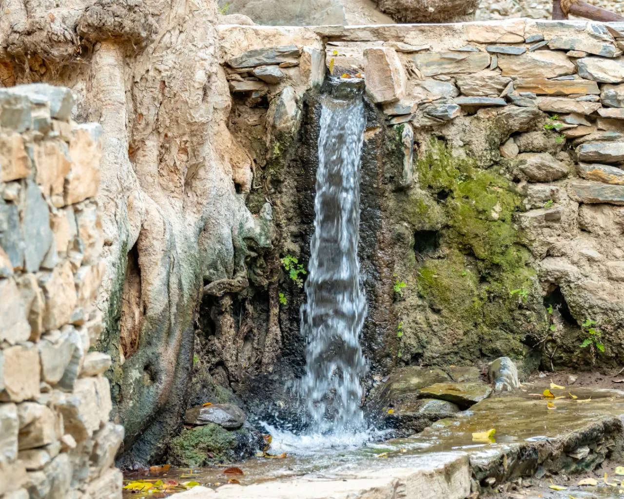 Hike Up Thee Ain Historical Village Experience