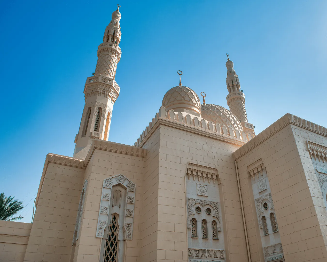 https://ur2h9smi.turpal.com/media/JpEffEu9UVyvkdXoYML6CWWEsdprQi1YadBAiJL2.png