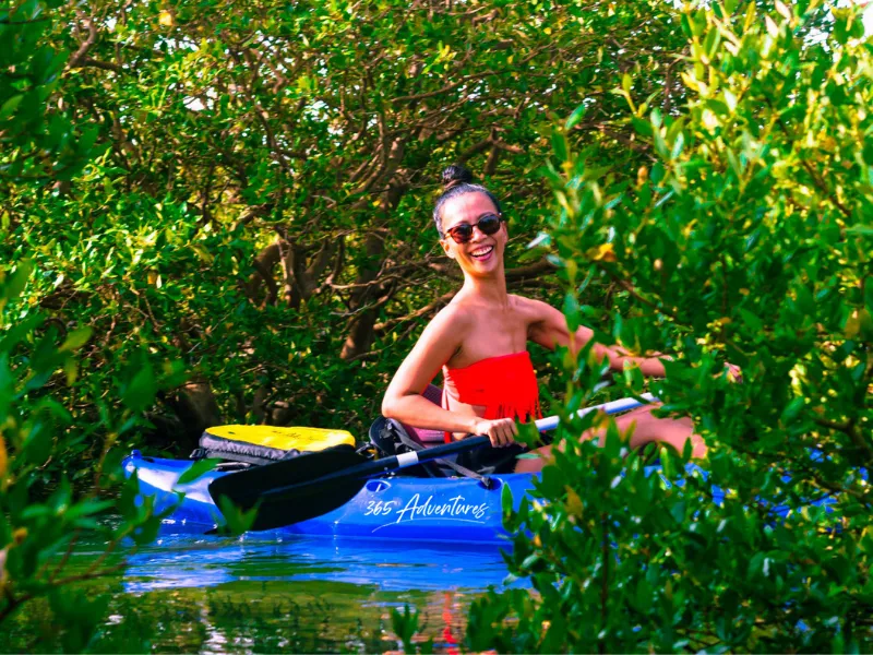 Mangroves Exploration Tour (Al Mafjar)