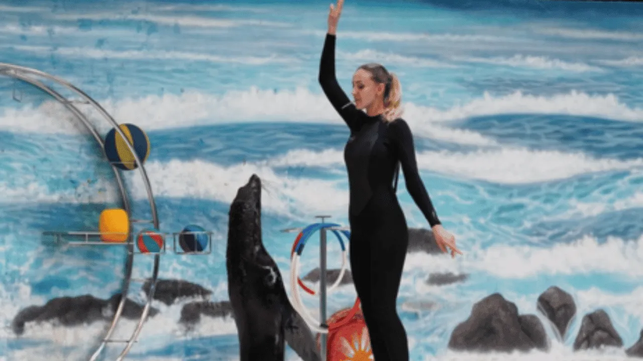 Dubai Dolphinarium From Abu Dhabi