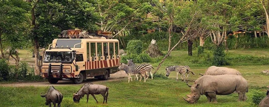 Dubai Safari Park