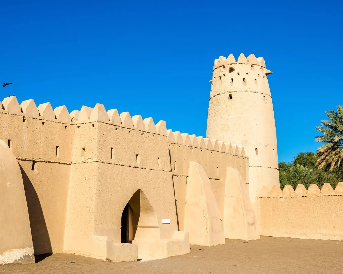 Al Ain City Tour