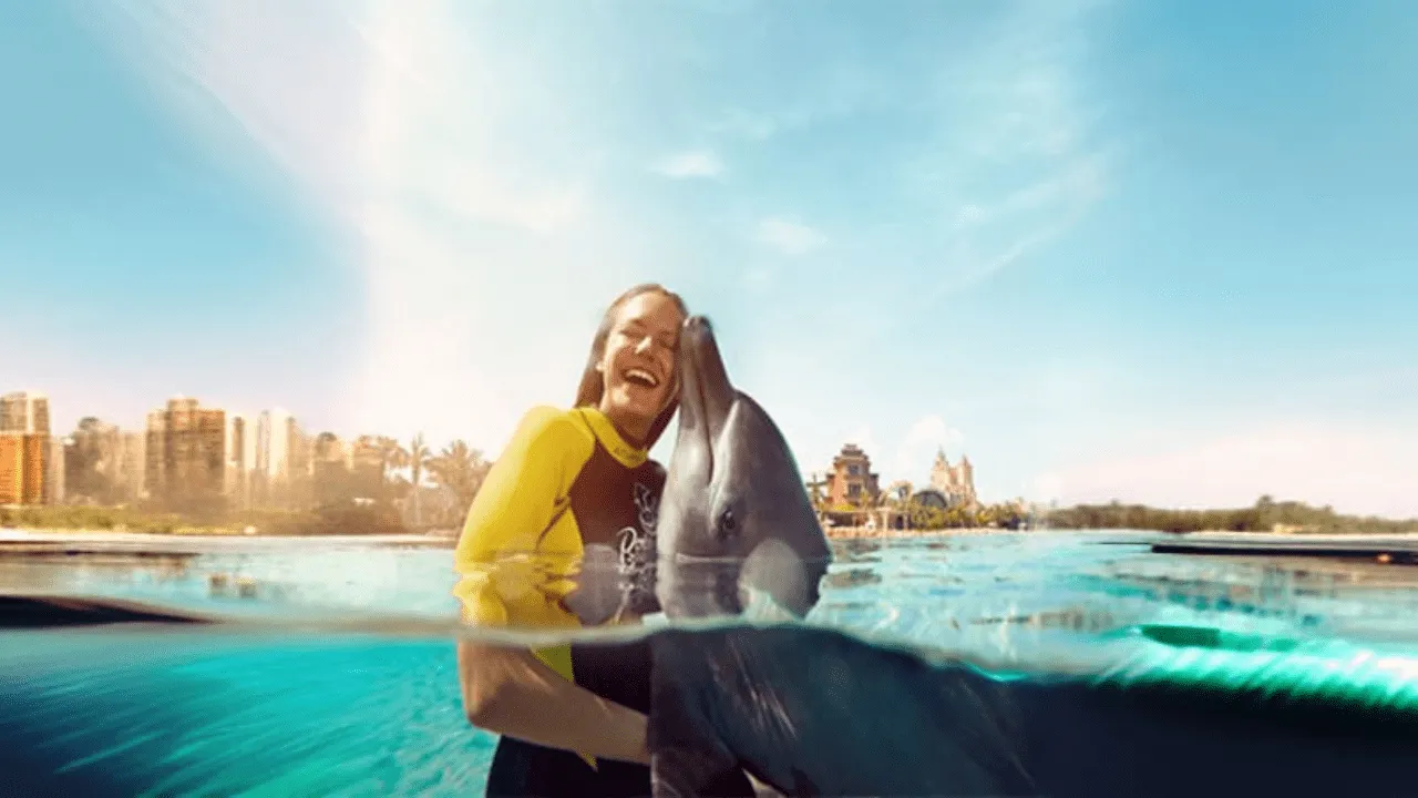 Dolphin Bay Atlantis