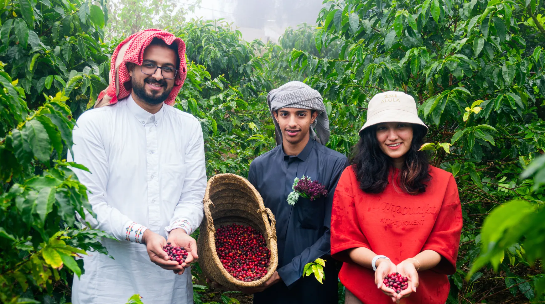 From Arabica to Arabian Farm Experience in Al Bahah