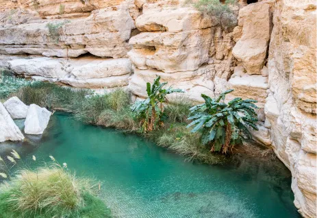 Wadi Shaab