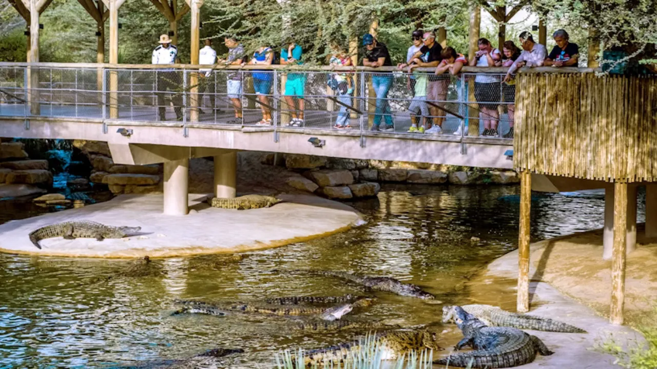 Dubai Crocodile Park