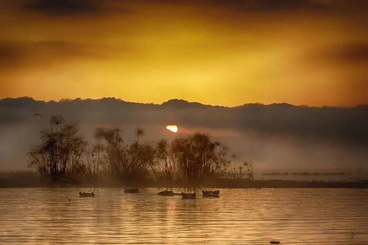 YOUR SPECIAL BUSH SAFARI: 7 Days 6 Nights